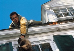 Meet the Parents Stiller roof Jinx