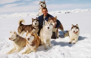 Eight Below Walker Dogs